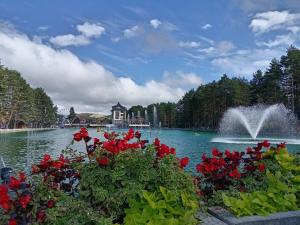 Apartman Stojanović Zlatibor