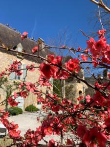 B&B / Chambres d'hotes La Tour de Cause : photos des chambres
