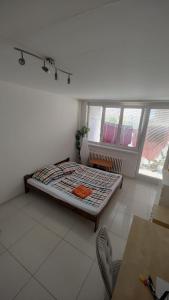 Nomads room nearest forest Kamýk