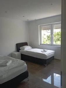 Distelfeld - Scheidt