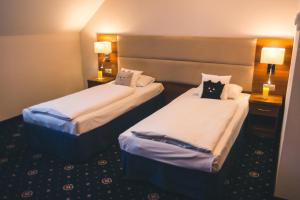 Standard Double or Twin Room room in ParkHotel Łysoń
