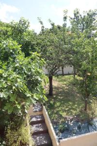 Maisons de vacances Le domaine des figuiers - Gite des pelerins : photos des chambres