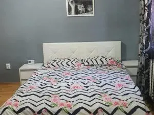 Apartament 2 camere cazare - Dioşod