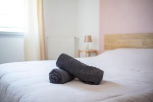 Appartements T3 avec terrasse et parking, a proximite de l-Aeroport et d-Airbus : photos des chambres