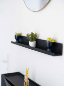 Appartements Le Cocon Raffine : photos des chambres