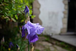 Charmante petite maison de pays à 200 m du Golfe
