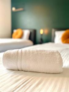 Spacious, garden, Netflix, near city