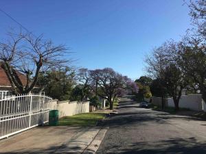 Modern Studio Apartment in Bonnie Doon