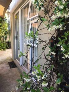 Modern Studio Apartment in Bonnie Doon