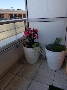 Apartament Powiew Morza - Zielone Tarasy Kołobrzeg