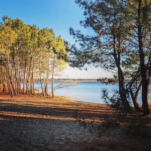 Agréable studio dans résidence calme sous les pins