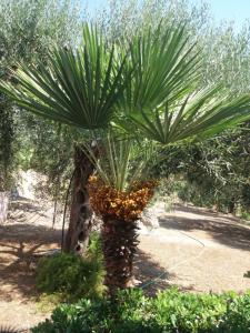 Apostolos & Eleni Family Apartments