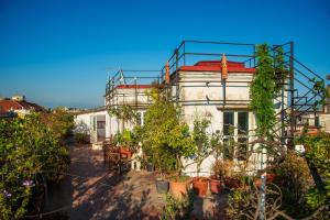 Penthouse Terrazza Vesuvio