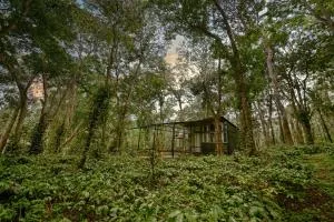 Cove by Raho - Siddapur