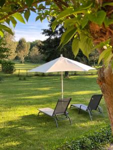 B&B / Chambres d'hotes Laguillotte : photos des chambres