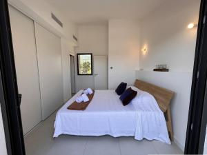 Bergerie Piana darchitecte neuve, 8 pers, piscine chauffée, à 10 min plage