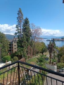 Del Rampolino Arancio