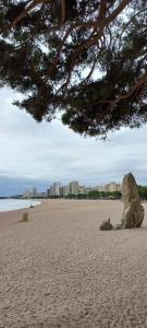 Apartament Platja dAro