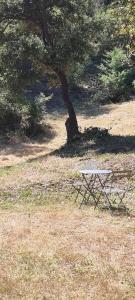 Appart'hotels LES BOIS DE ZOLA entre Provence et Luberon : photos des chambres