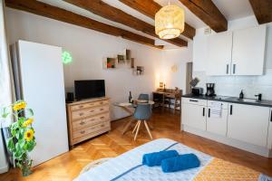 Appartements Le Repaire du Chanceux : photos des chambres