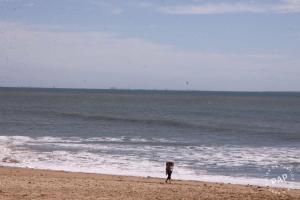 Location Appartement LA TRANCHE SUR MER