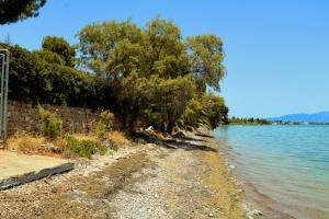 Ekatis Seacoast Nest