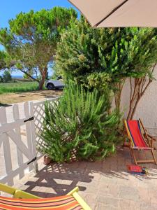 Cala di Seta Apartment - Ambra img14