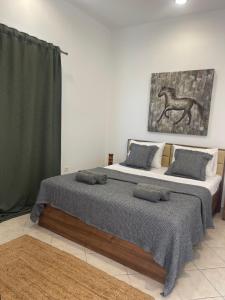 Agroktima Drosou Apartment