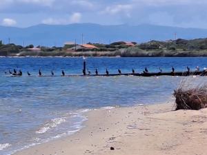 Cala di Seta Apartment - Ambra img17