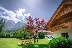 特拉塔公寓 - 克拉尼斯卡戈拉