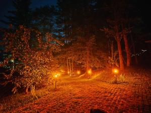 Căsuța din pădure