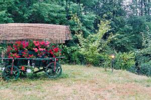 Căsuța din pădure