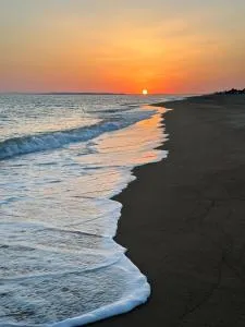 Harmony - Anemokhórion