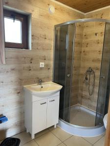 Domek letniskowy nad jeziorem w OW Bachus do 10 osób