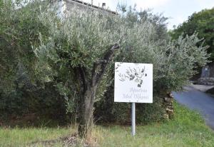 Apartma med oljkami Spodnji