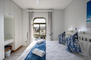 Seagull 303