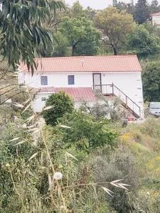 Casa Hortensia - Proença-a-Nova