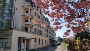 Appartements Duplex proche foret et canal des Vosges : photos des chambres