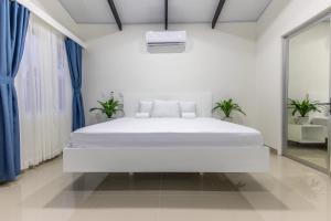 The Zion Suite Tortuguero