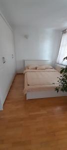 Apartments Sina
