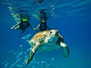 Remarkable 3-Bed Villa in christ church