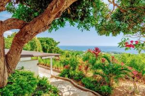 Dolphin Villa Lovina