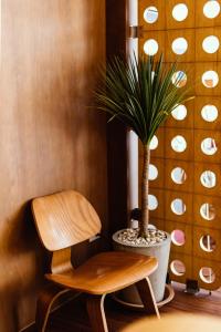 วางเวลา เกาะล้าน The Timeless Kohlarn