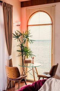 วางเวลา เกาะล้าน The Timeless Kohlarn