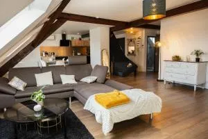 Beau duplex au pied des Vosges - Wattwiller