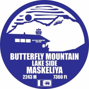 Butterfly Mountain Lake Side