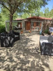 Chalet en bois dans la forêt - Puimoisson