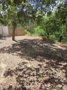 Chalets Chalet en bois dans la foret : photos des chambres