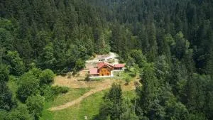 Vista Larix Chalet - Strmec