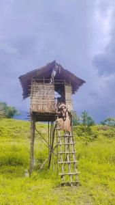 Rumsram homestay rumah etnik papua